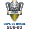 კოპა დო ბრაზილია U20
